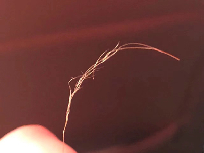 頭髮分叉髮絲毛躁像枯草圖