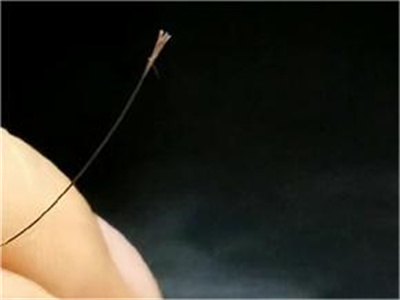 頭髮分叉一根頭髮分出好幾根圖