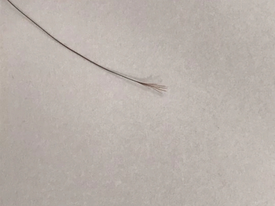頭髮分叉一根頭髮末端分好幾個叉圖